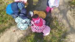 WhatsApp-Image-2026-03-23-at-13.36.49